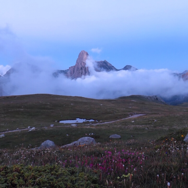 Progetto senza titolo (20)